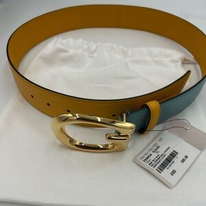 Gucci Yellow and Teal Belt with Gold Buckle